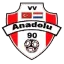 Clublogo voetbalvereniging VV Anadolu '90
